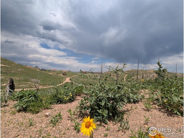 598 Mount Mcconnell Dr, Livermore, CO 80536