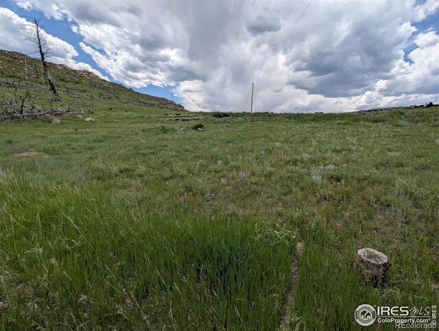 598 Mount Mcconnell Dr, Livermore, CO 80536