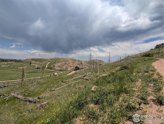 598 Mount Mcconnell Dr, Livermore, CO 80536