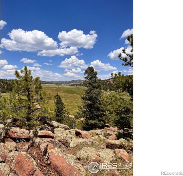 313 Elliott Dr, Florissant, CO 80816 - photo 1