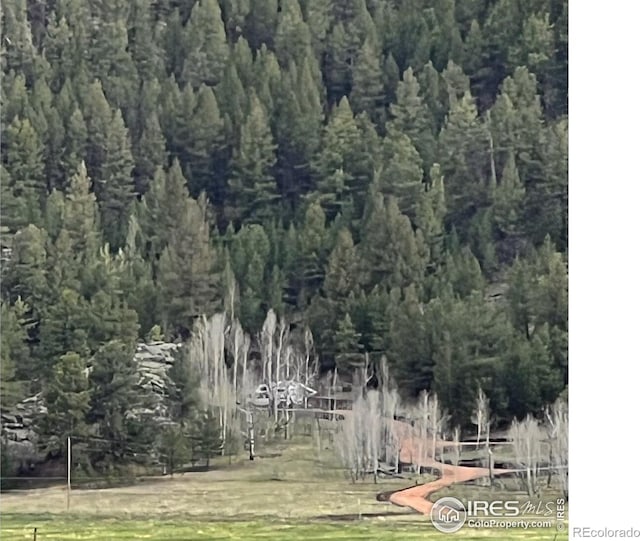 313 Elliott Dr, Florissant, CO 80816 - photo 2