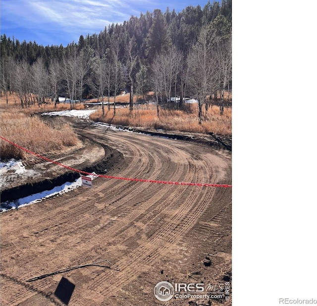 313 Elliott Dr, Florissant, CO 80816 - photo 3
