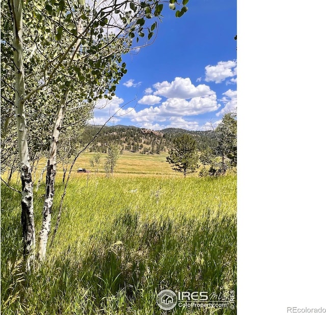 313 Elliott Dr, Florissant, CO 80816 - photo 4