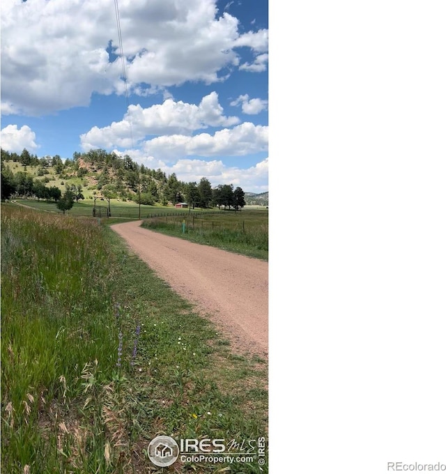313 Elliott Dr, Florissant, CO 80816 - photo 5