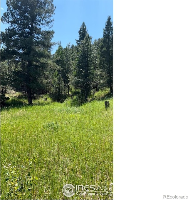 313 Elliott Dr, Florissant, CO 80816 - photo 6