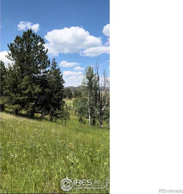 313 Elliott Dr, Florissant, CO 80816 - photo 8