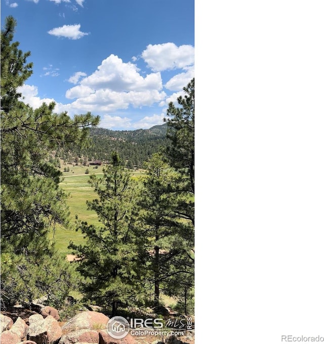 313 Elliott Dr, Florissant, CO 80816 - photo 9