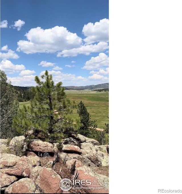 313 Elliott Dr, Florissant, CO 80816 - photo 10