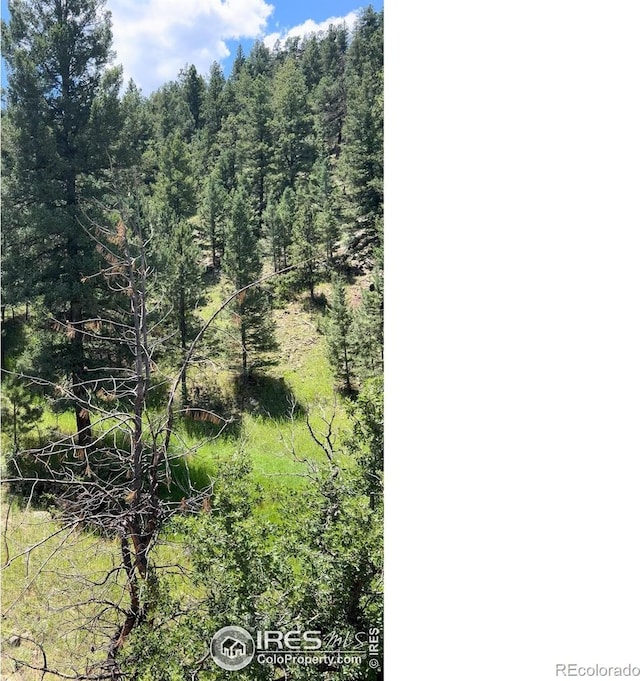 313 Elliott Dr, Florissant, CO 80816 - photo 11