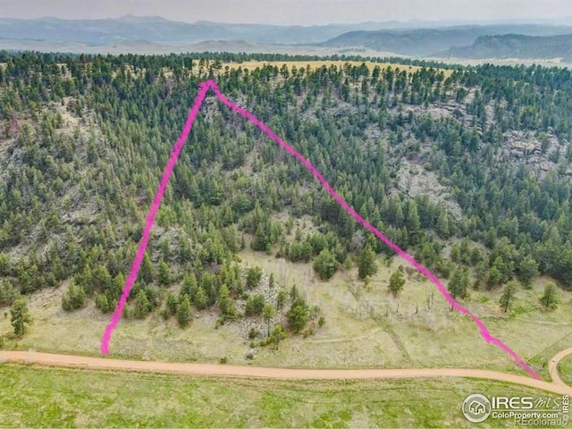313 Elliott Dr, Florissant, CO 80816 - photo 14