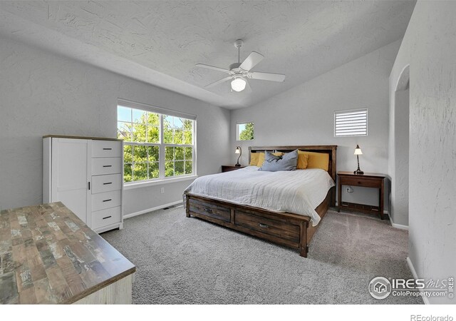 3714 Observatory Dr, Fort Collins, CO 80528 - photo 16