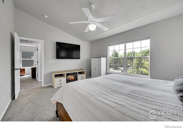 3714 Observatory Dr, Fort Collins, CO 80528 - photo 18