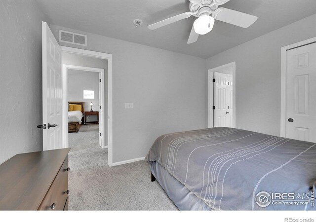 3714 Observatory Dr, Fort Collins, CO 80528 - photo 22