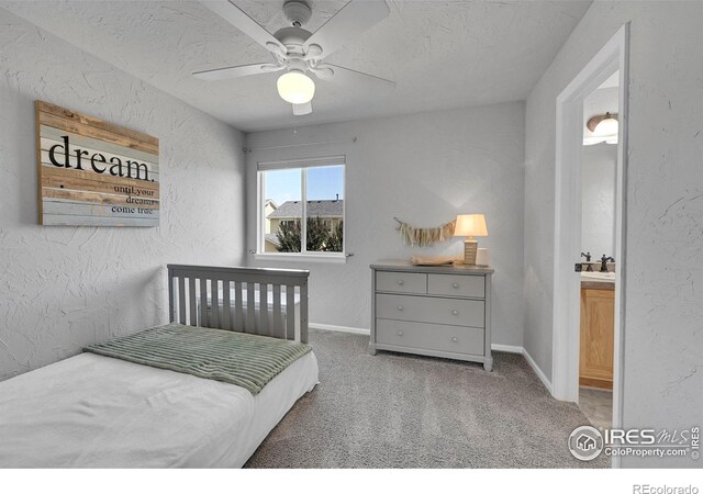 3714 Observatory Dr, Fort Collins, CO 80528 - photo 24