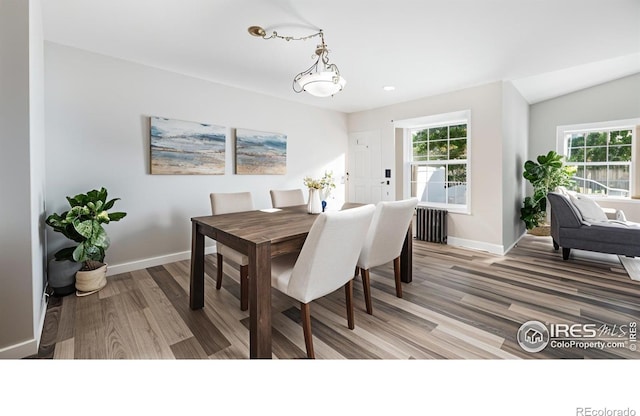 14246 Pikeminnow Pl, Broomfield, CO 80023 - photo 3