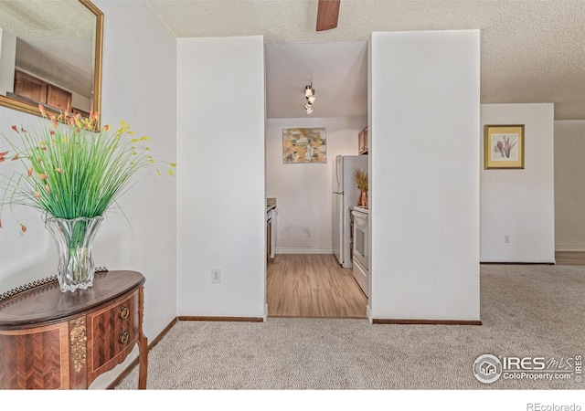 1410 Bacchus Dr Unit B12, Lafayette, CO 80026 - hall with carpet flooring and a textured ceiling
