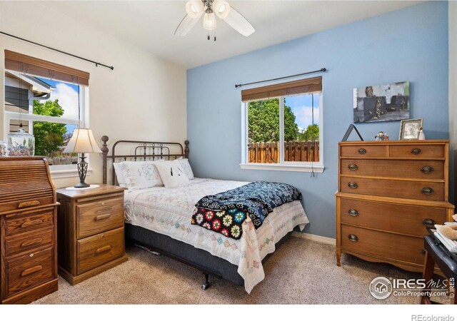 4202 Woodlake Ln, Wellington, CO 80549