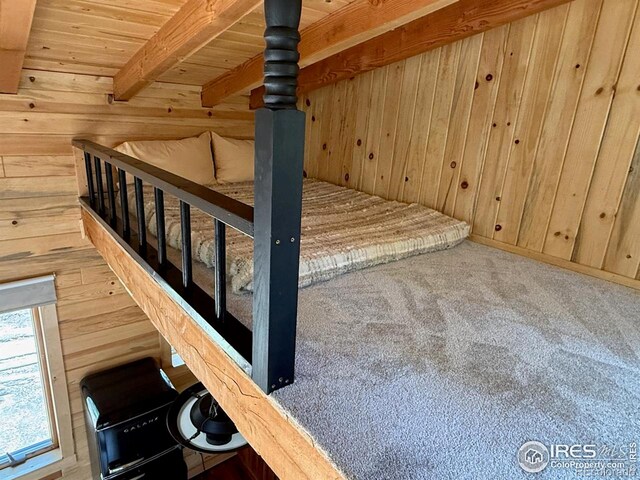 263 Reindeer Dr, Ward, CO 80481