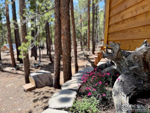 263 Reindeer Dr, Ward, CO 80481