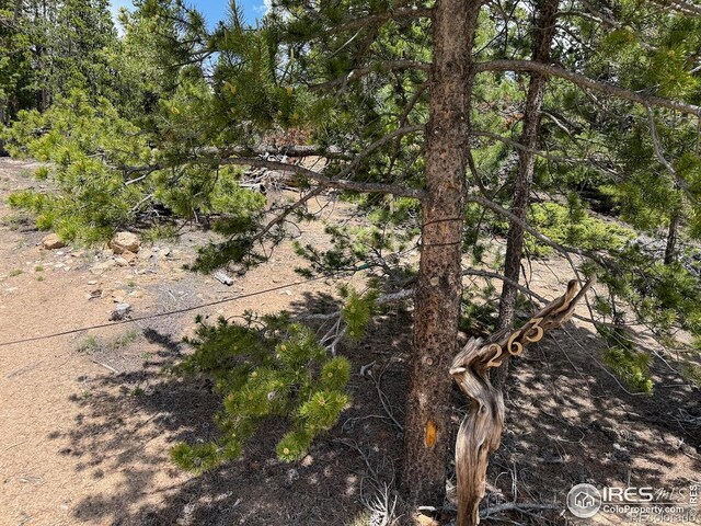 263 Reindeer Dr, Ward, CO 80481