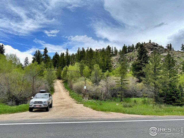 263 Reindeer Dr, Ward, CO 80481