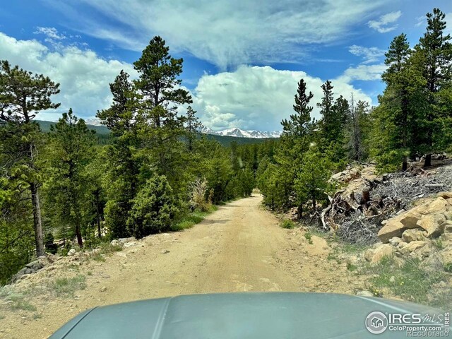 263 Reindeer Dr, Ward, CO 80481
