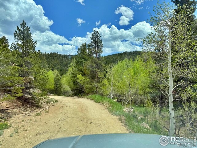 263 Reindeer Dr, Ward, CO 80481