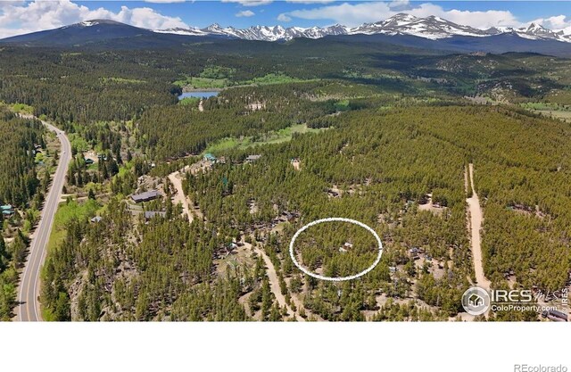 263 Reindeer Dr, Ward, CO 80481