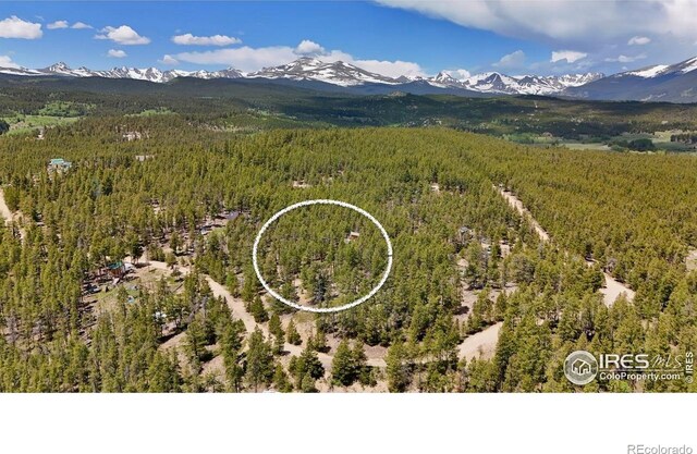 263 Reindeer Dr, Ward, CO 80481
