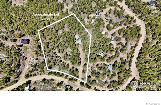 263 Reindeer Dr, Ward, CO 80481