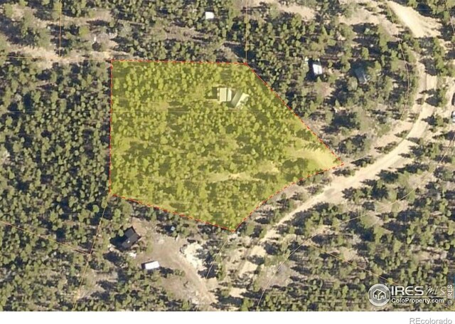263 Reindeer Dr, Ward, CO 80481