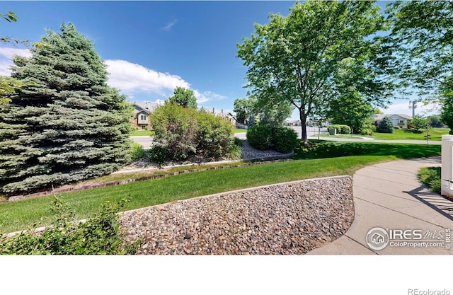 1839 Laurus Ln, Johnstown, CO 80534 - view of green lawn
