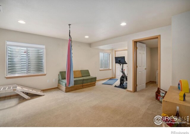 533 Dunraven Dr, Fort Collins, CO 80525 - photo 18