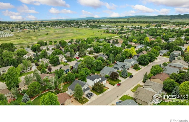 533 Dunraven Dr, Fort Collins, CO 80525 - photo 25