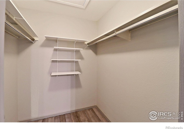 3405 W 16th St Unit 30, Greeley, CO 80634 - walk in closet with wood finished floors