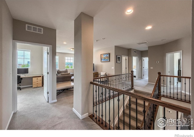 1910 High Plains Dr, Longmont, CO 80503 - photo 30