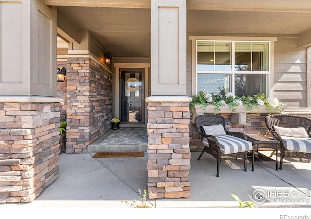 310 Baja Dr, Windsor, CO 80550 - photo 6