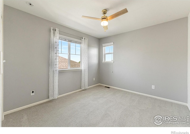 310 Baja Dr, Windsor, CO 80550 - photo 16
