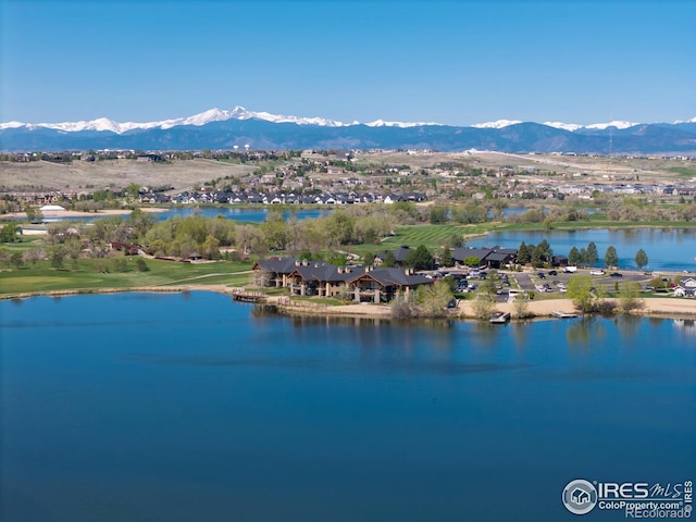 310 Baja Dr, Windsor, CO 80550 - photo 31