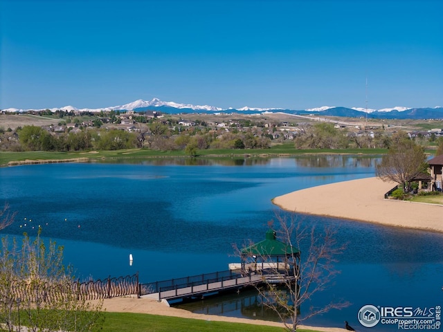 310 Baja Dr, Windsor, CO 80550 - photo 34