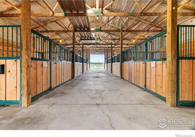 9088 Golden Fields Ln, Loveland, CO 80538 - photo 2