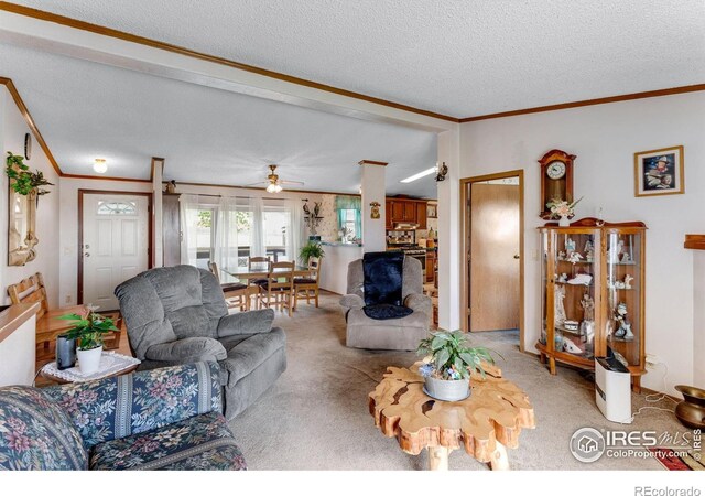 6310 W County Road 4, Berthoud, CO 80513 - photo 13