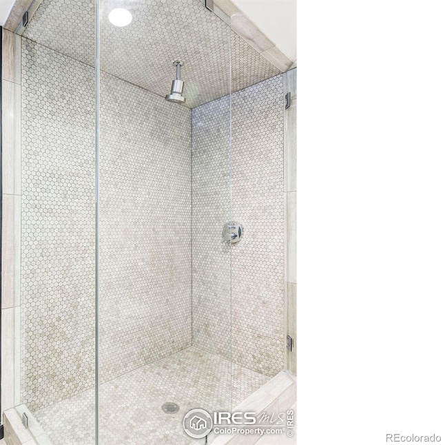 781 Cold Springs Rd, Nederland, CO 80466 - full bath with a stall shower