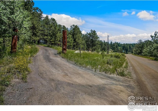 781 Cold Springs Rd, Nederland, CO 80466 - view of street featuring a wooded view