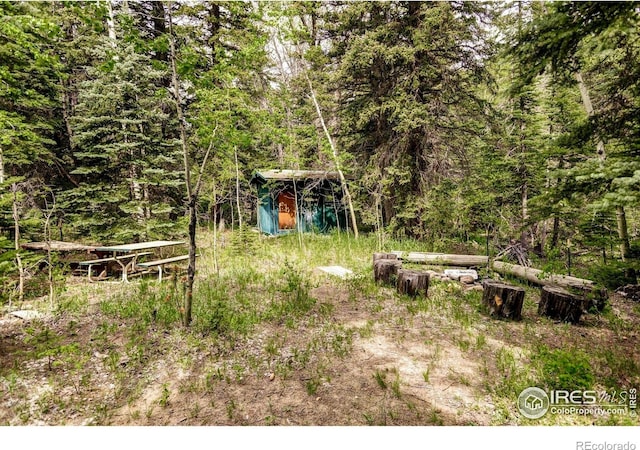 781 Cold Springs Rd, Nederland, CO 80466 - view of yard with a wooded view and a storage unit