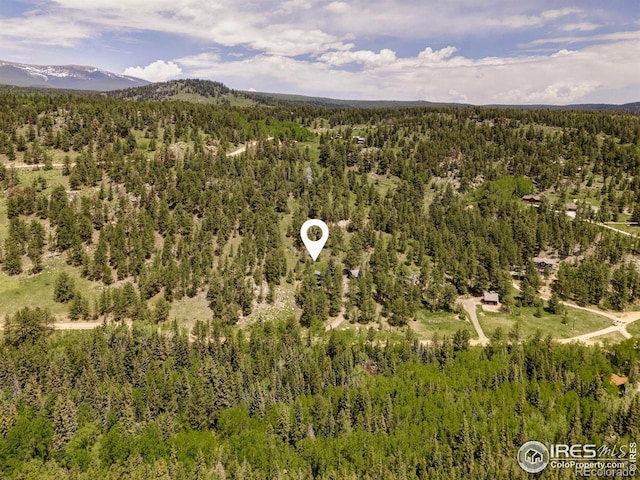 781 Cold Springs Rd, Nederland, CO 80466 - aerial view of a forest and a mountain backdrop