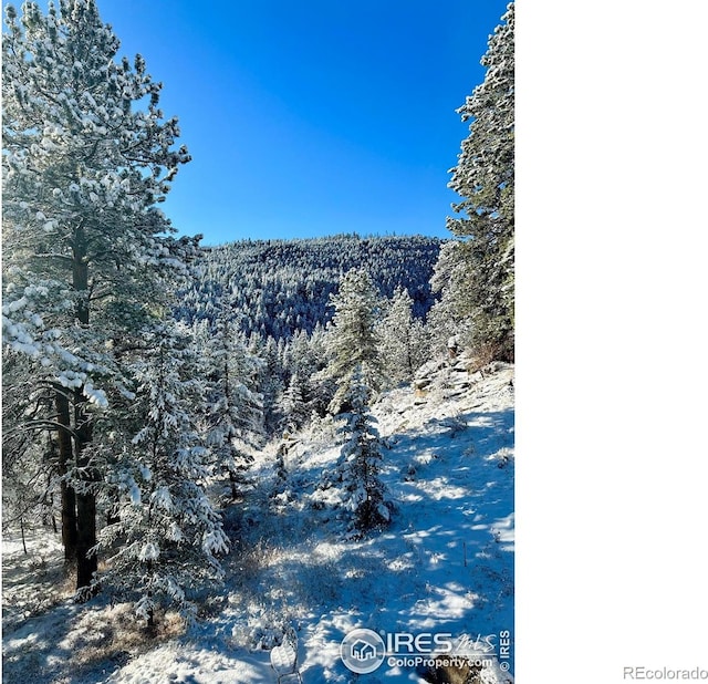 781 Cold Springs Rd, Nederland, CO 80466 - mountain view featuring a forest