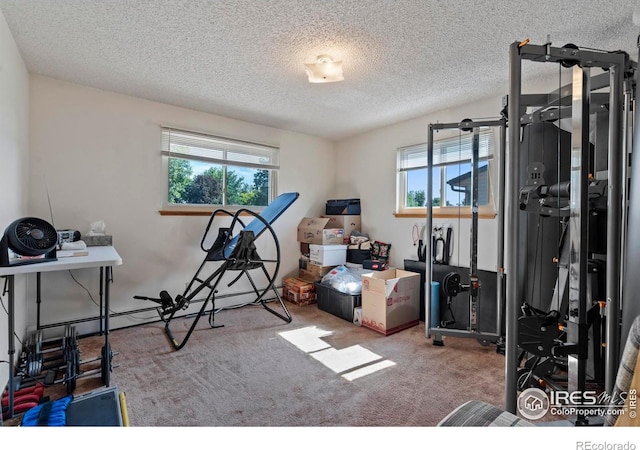 3064 Sally Ann Dr, Loveland, CO 80537 - photo 18