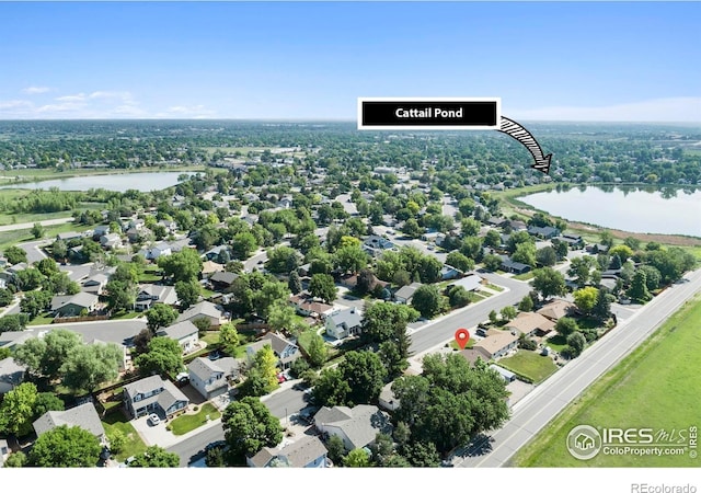 3064 Sally Ann Dr, Loveland, CO 80537 - photo 23