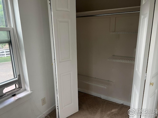225 E 8th Ave Unit B11, Longmont, CO 80504 - view of closet